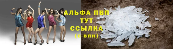 МДПВ Бородино
