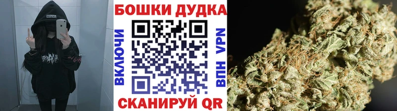 KRAKEN онион  Данилов  Бошки марихуана ГИДРОПОН 